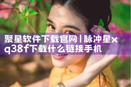 聚星软件下载官网