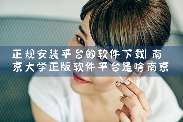 正规安装平台的软件下载