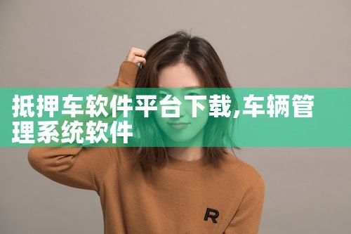 抵押车软件平台下载