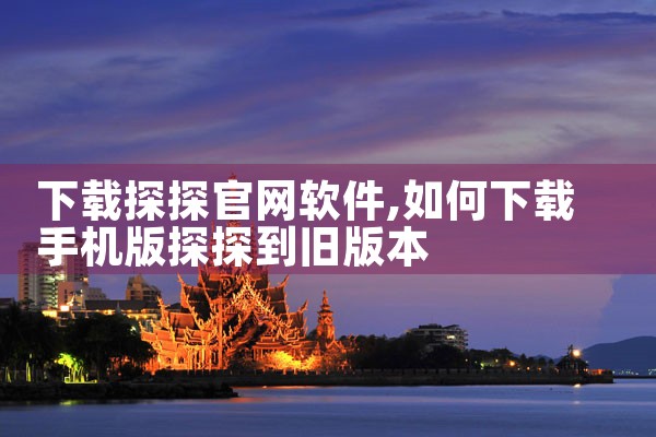 下载探探官网软件