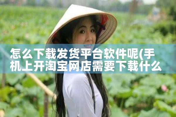 怎么下载发货平台软件呢