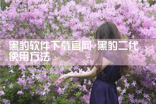 黑豹软件下载官网