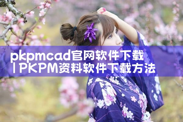 pkpmcad官网软件下载