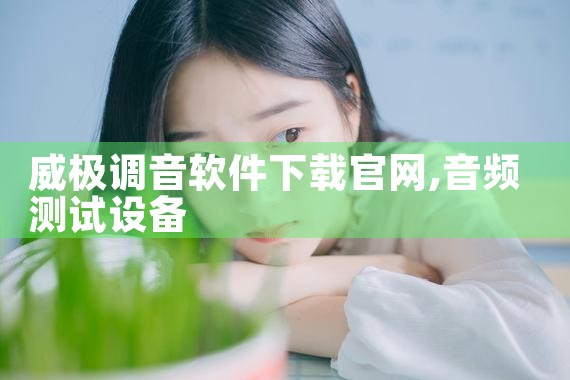 威极调音软件下载官网