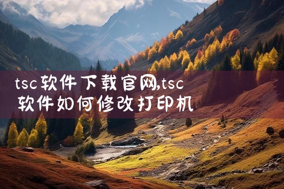 tsc软件下载官网