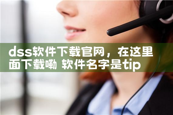 dss软件下载官网