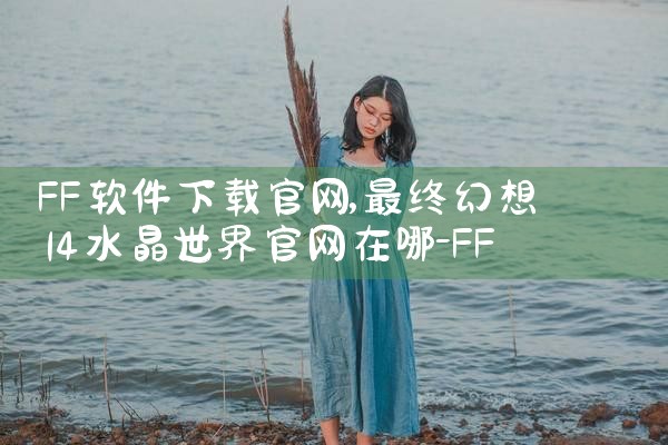 九维平台怎么下载软件